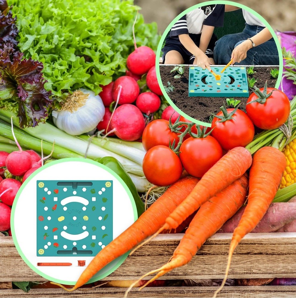 Litime Seed Spacing Template