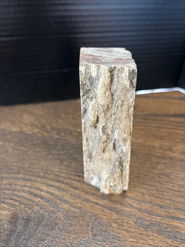 Petrified Wood