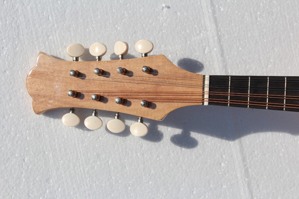 Bowl back Mandolin Solid Spruce Top Stringed instrument