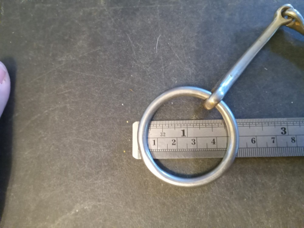 Bridoon Bit bradoon snaffle bit 5 in stainless