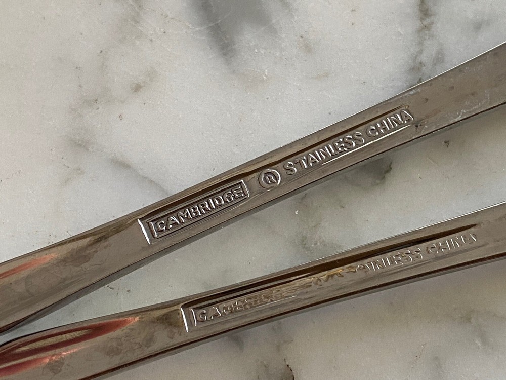 Cambridge Stainless flatware in Tracy pattern 7 pieces long teaspoon spoon