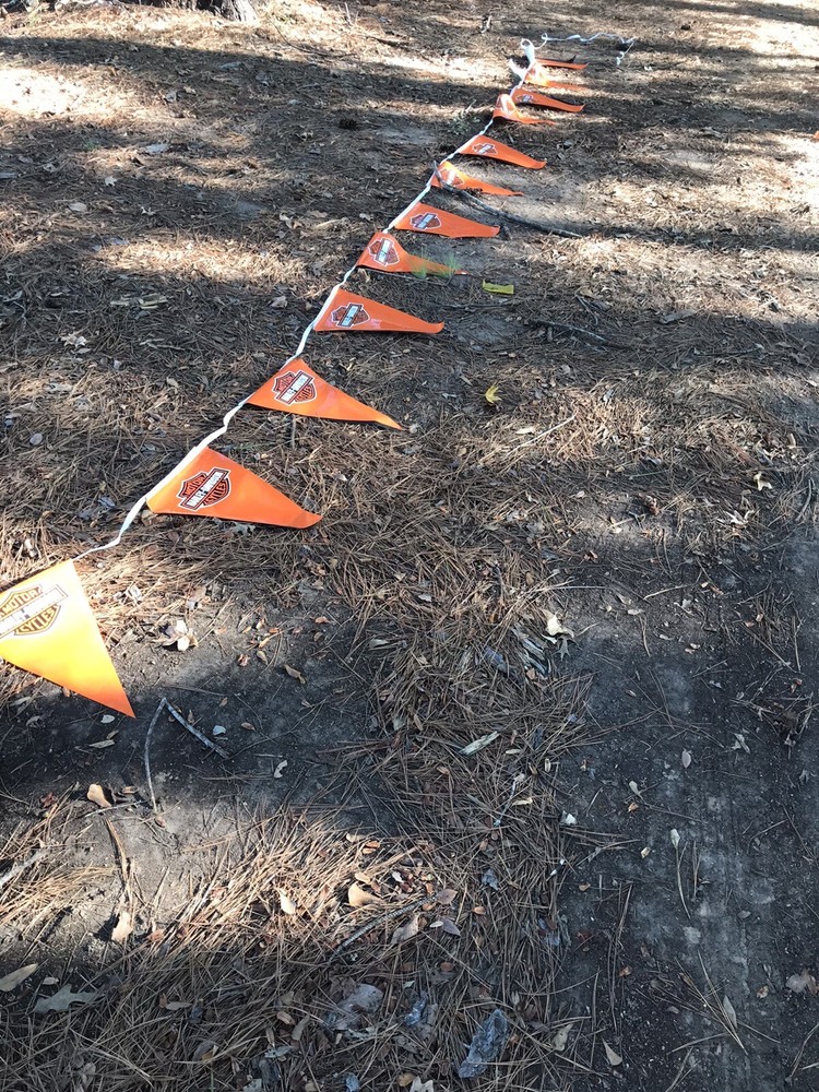 Huge HARLEY DAVIDSON  PENNANT FLAG BANNER Super Long 2002