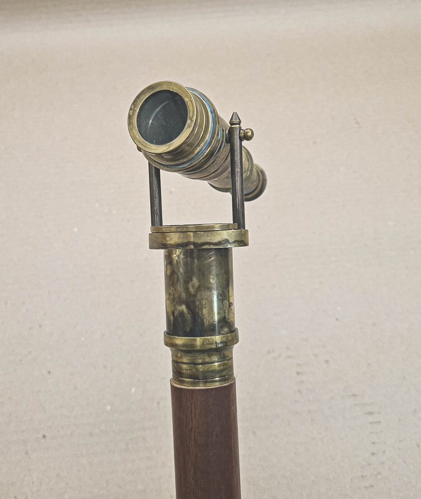 Walking stick for bird watching or hunting
