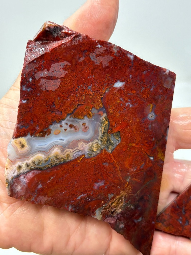 Mexican Cathedral Agate Slabs Cabbing Lapidary Combo Ship Avail