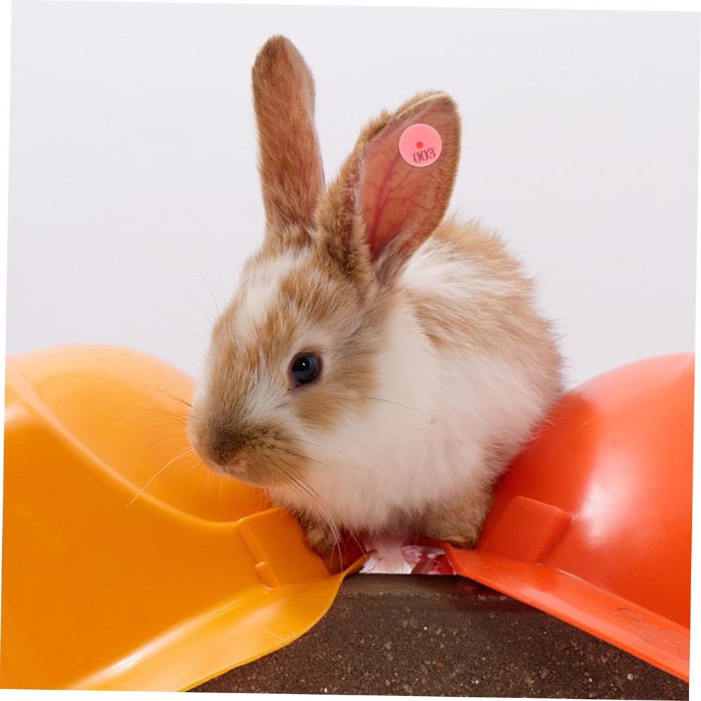 100Pcs Rabbit Ear Tags Numbered Identification for Animal Tracking Farm & Ran...