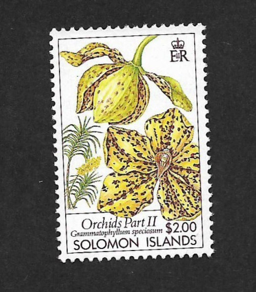 (BL) Solomon 1989 $2.00 Orchids MNH