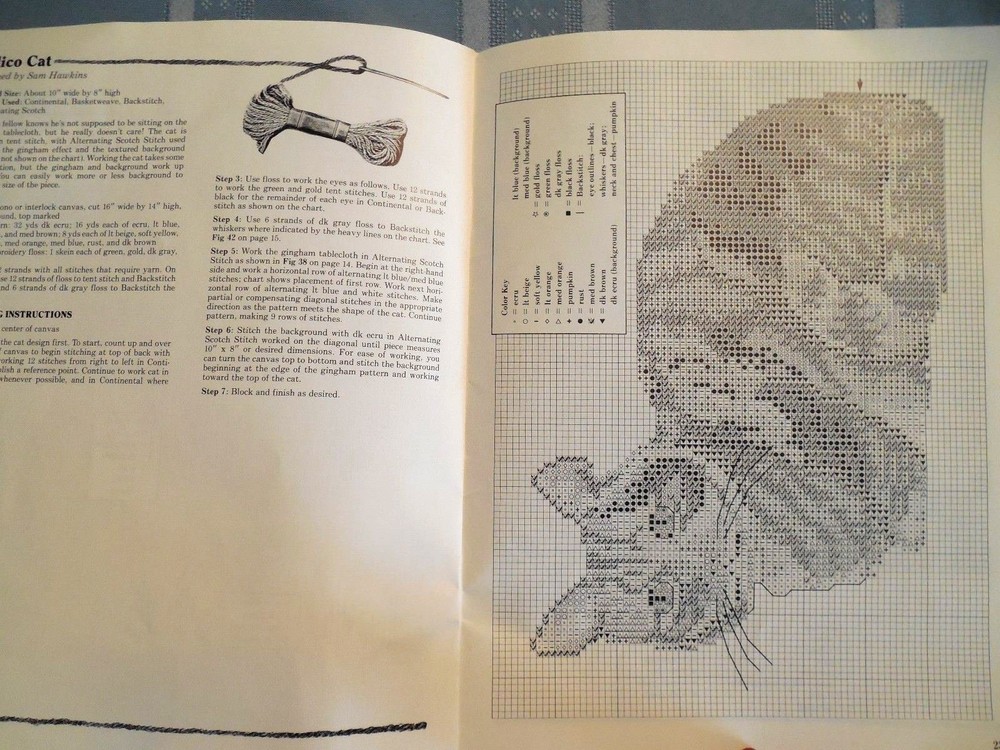 American School of Needlework "First Steps in Needlepoint" a Beginner's Guide