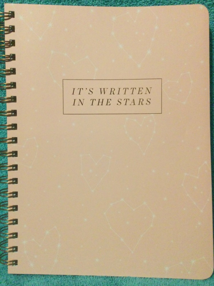 Heart Constellations Pink Fringe Studio Notebook Journal Diary Logbook Valentine
