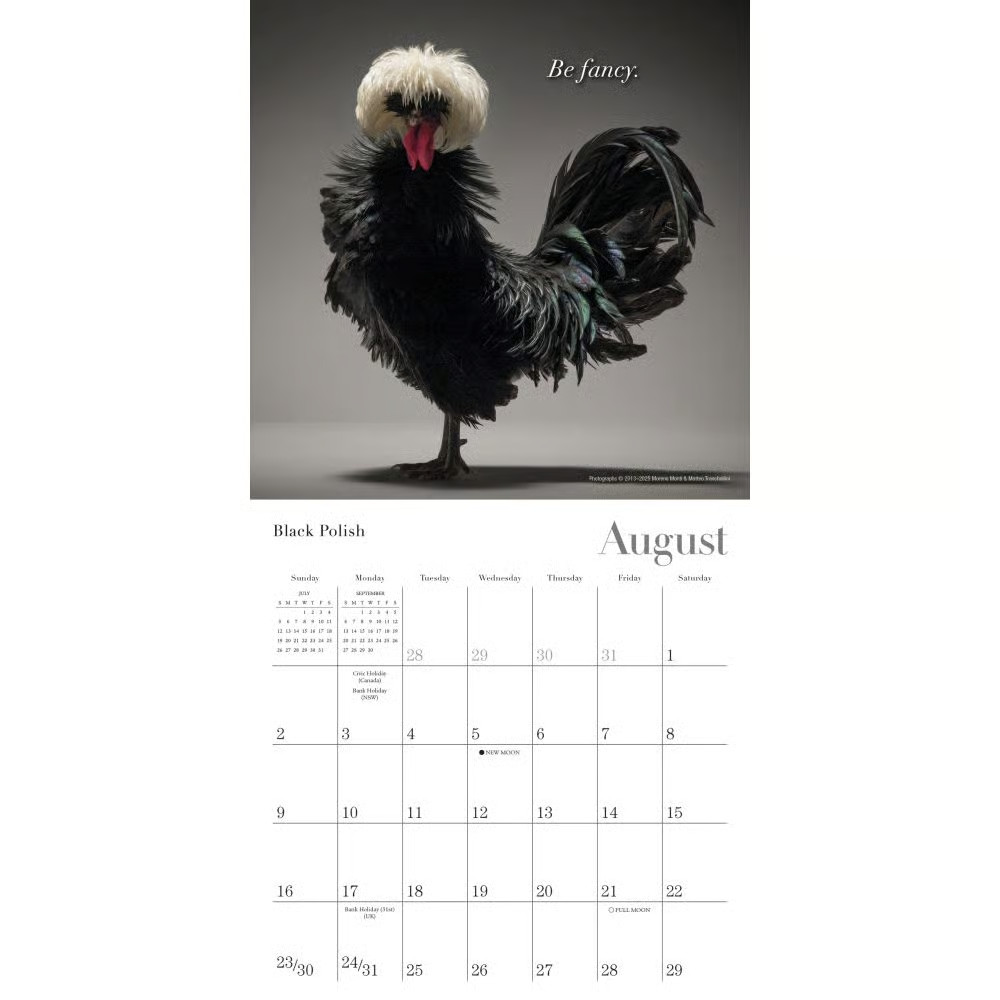 Sellers Publishing, Glamour Chicks Mini