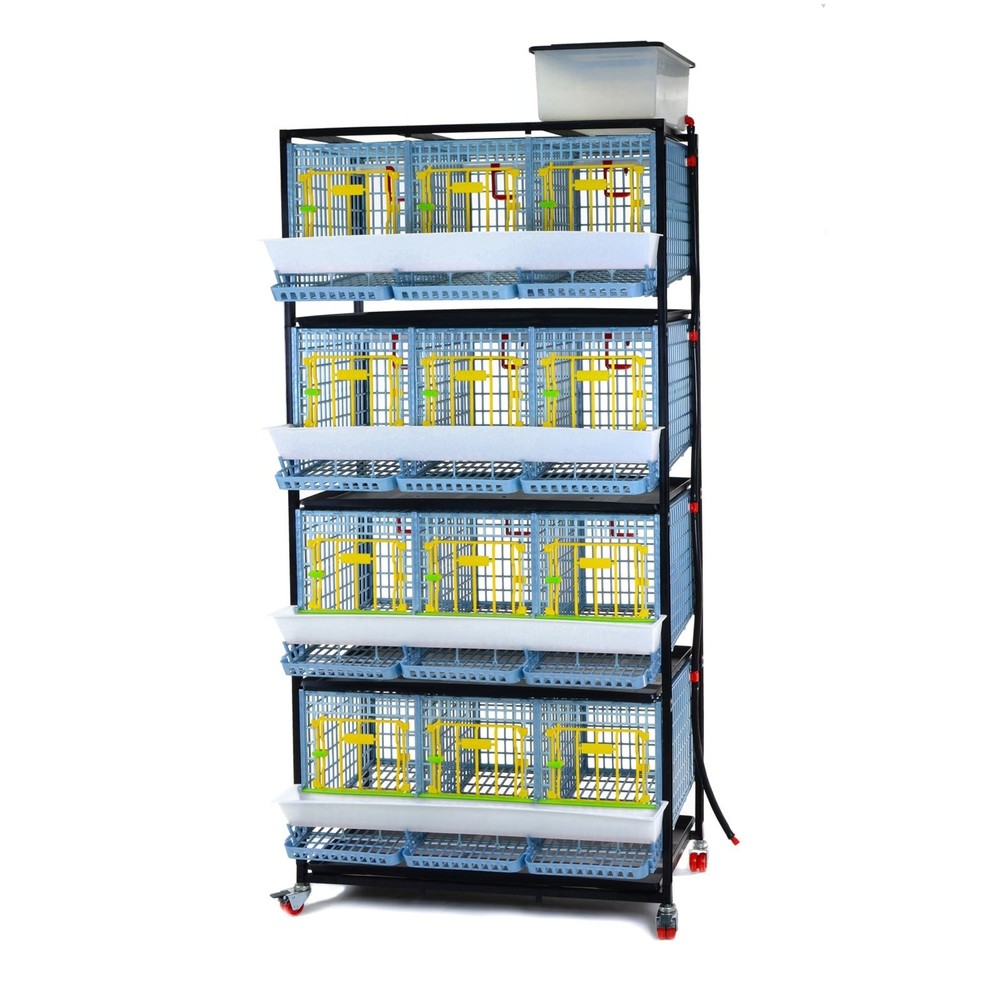 Chicken Cage - 4 Layer H: 15"