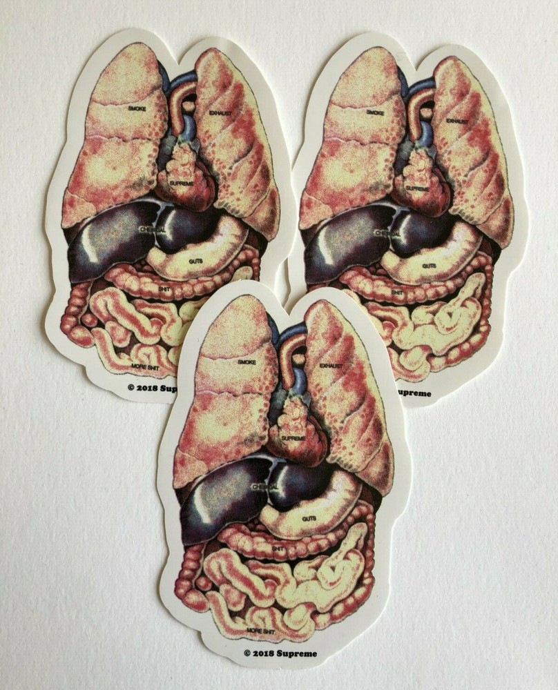 Supreme Guts Sticker 100% Authentic FW18 Season