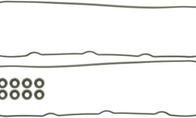 VS50250A Gasket