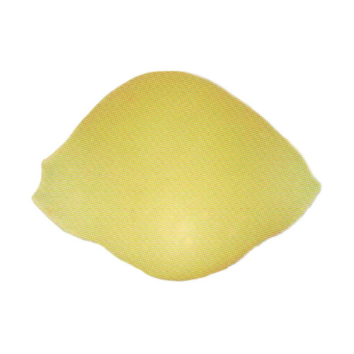 Arcobaleno AEX90 & AEX90M#163 Pasta Die