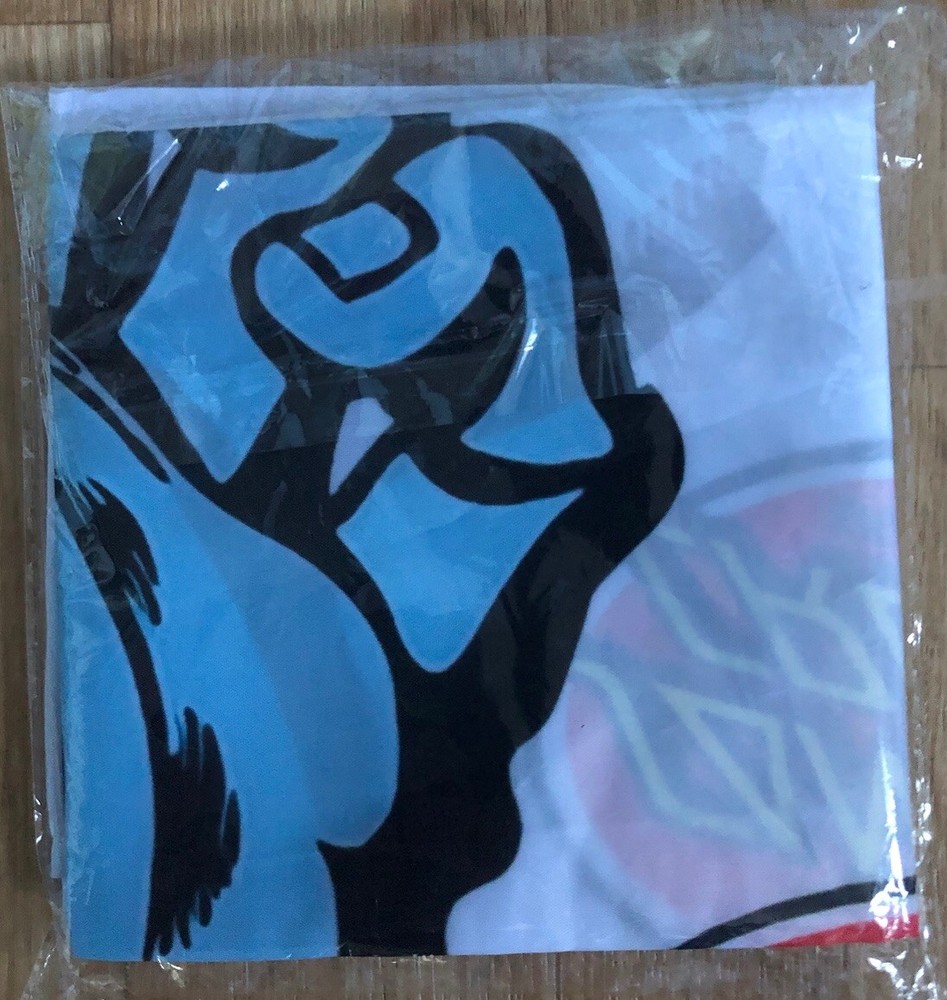 Santa Cruz Skateboard Flag