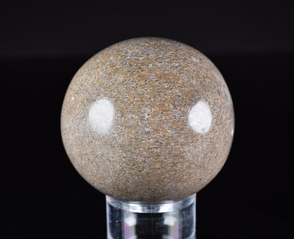 Dinosaur Bone Sphere from Morocco 7.6 cm # 20121