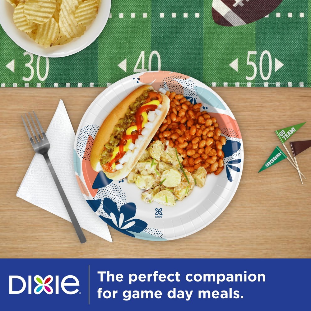 Disposable Paper Plates, 10", Multi-Color, 100 Count