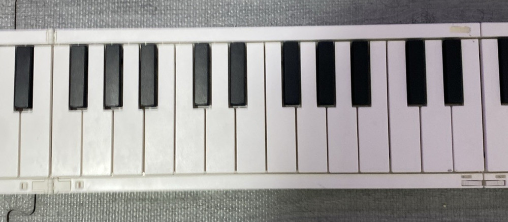 Blackstar Carry-On Keyboard Piano 88 Key Portable Folding Controller PLEASE READ