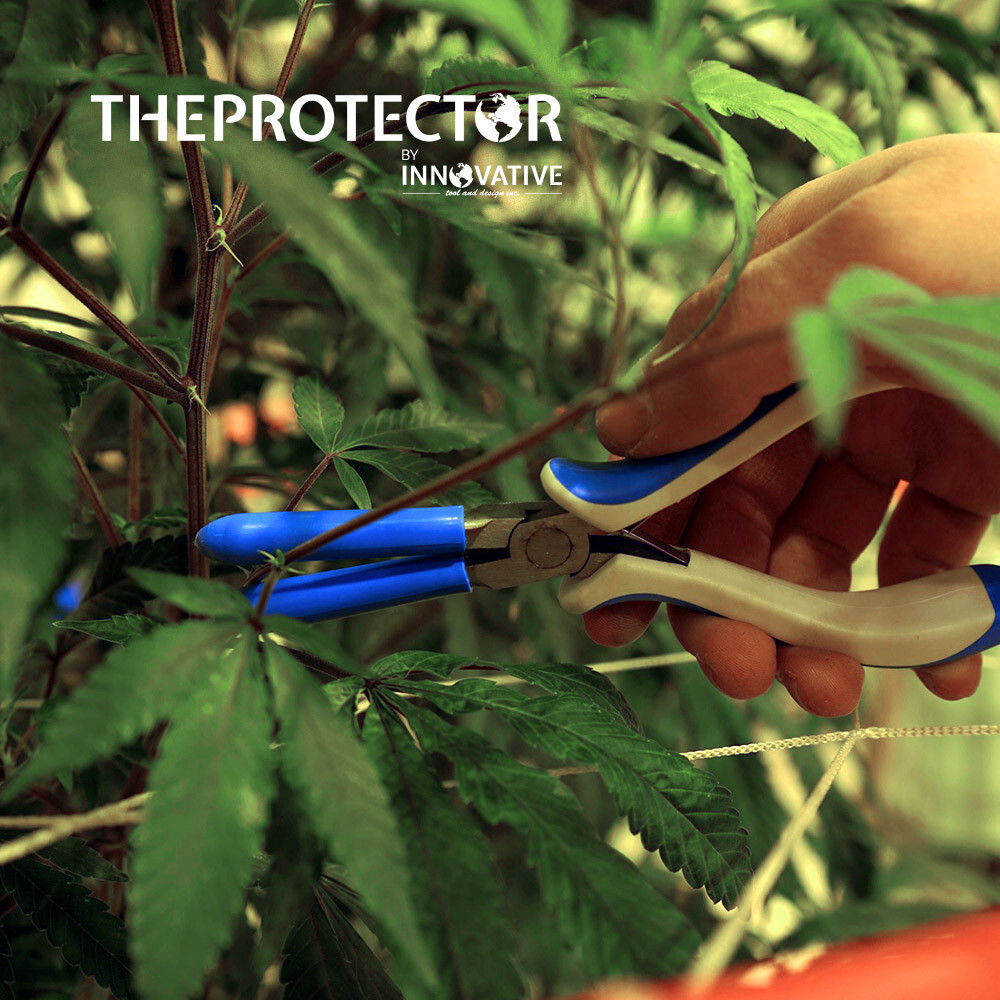 THEPROTECTOR Hydroponics Garden Pruner (2 Pack) For Grow Room Cropper tool