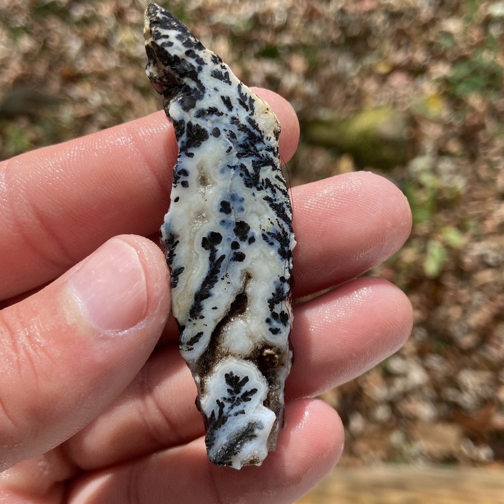 Medicine Bow Dendritic Agate Rough Slab