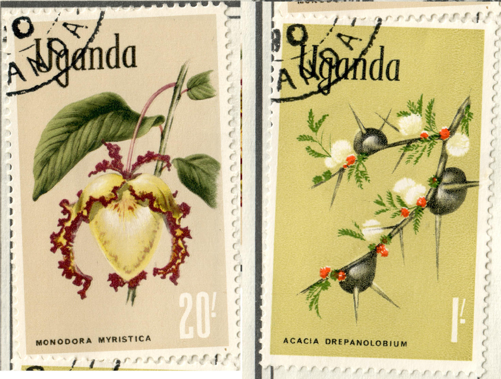 Uganda - 1969 Flowers #2