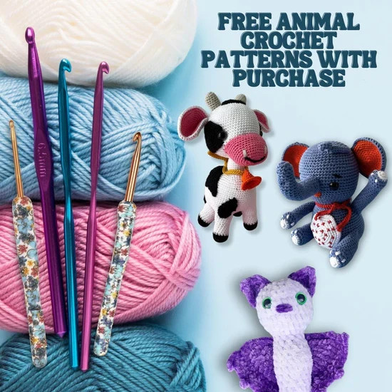 Crochet Kit For Beginners