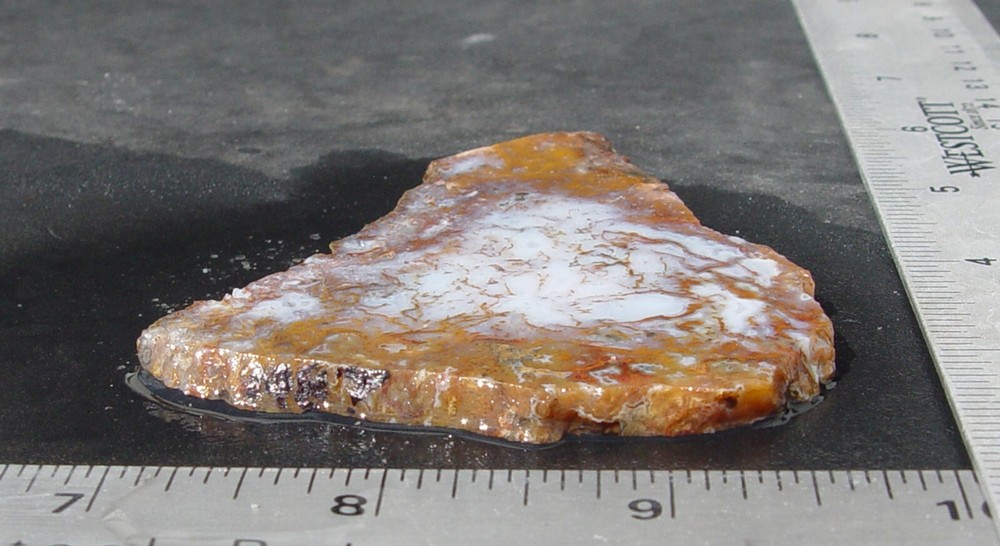 Gold Moss Agate Lapidary Slab 1487
