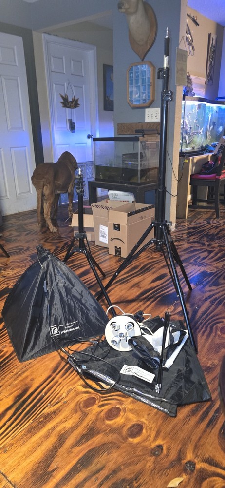 ePhotoInc 2-CFL Softbox Continuous Lighting Kit, 4-Bulb, AC Powered