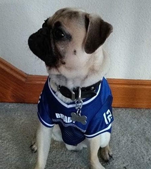 2-Pack Klippy Dog and Cat Tag Clips - Ultimate Solution for Safe Identification