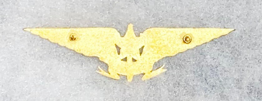 Brazilian Aviation Pilots Wing