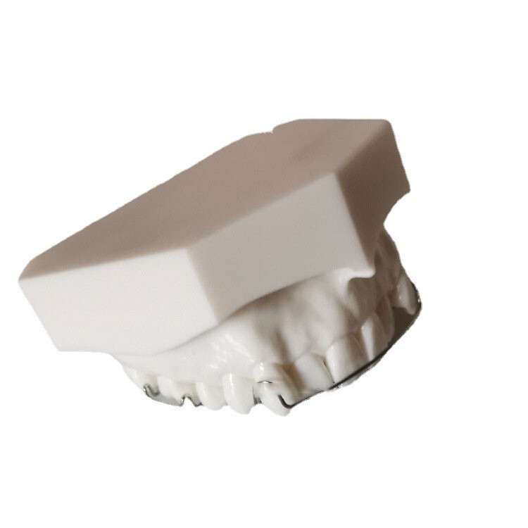 Dental Multiple Types Teaching Teeth Model Typodont Ortho Implant Practice Demo