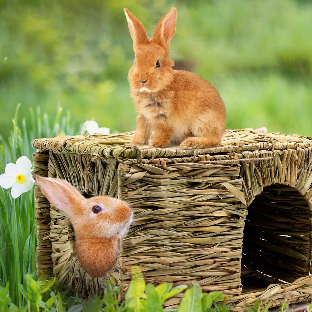 Durable Extra Large Grass Hut for Rabbits & Chinchillas - Eco-Friendly Design
