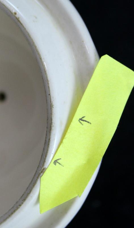 Spode Gainsborough Teapot S245 TINY CHIPS ON LID