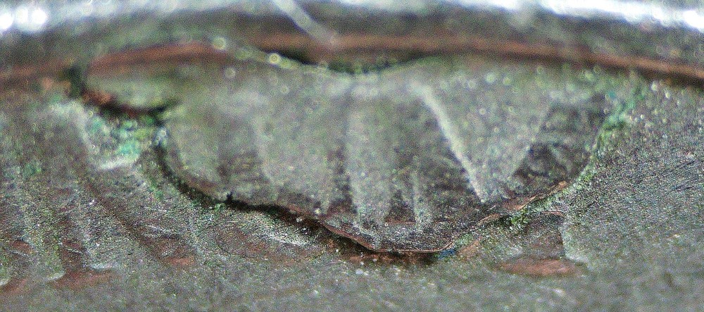 1952 S Jefferson Nickel error, reverse retained lamination