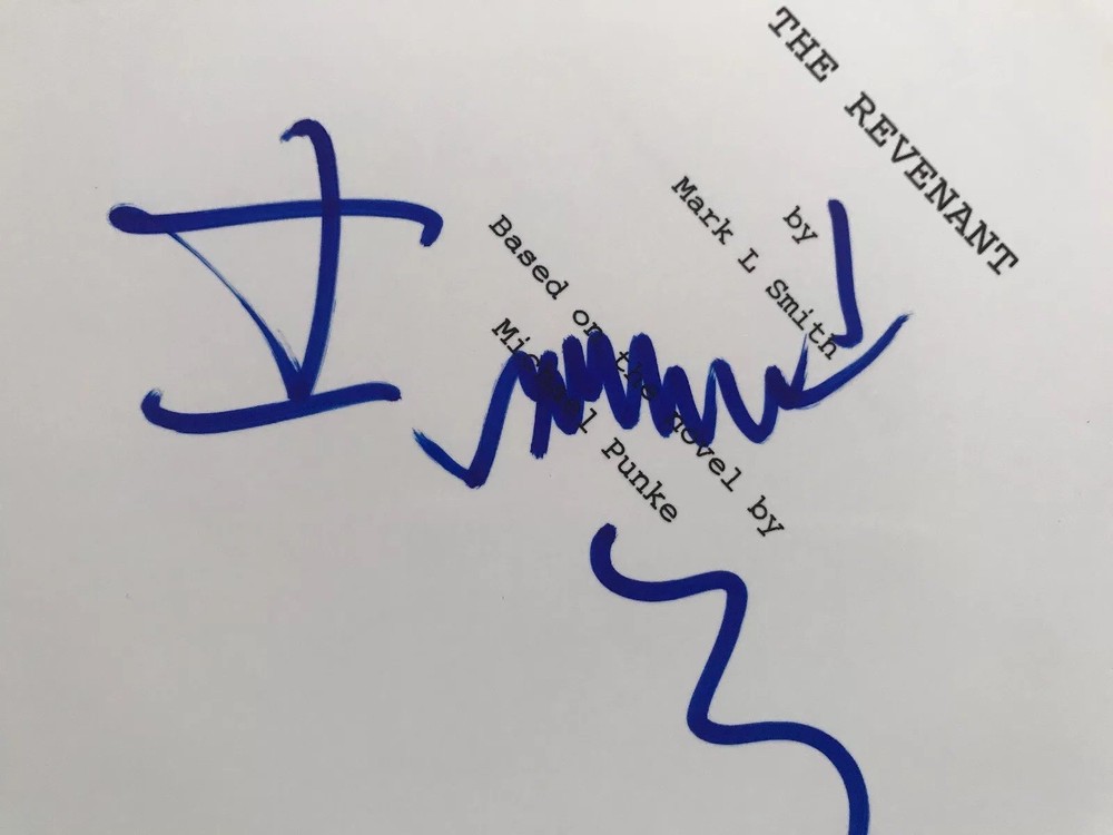 Signed Script The Revenant Oscar Winning Director Alejandro Iñarritu PSA AUTO