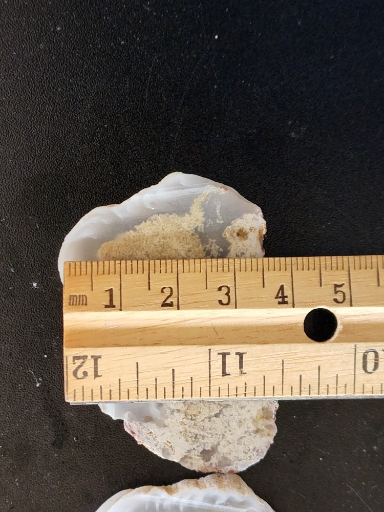 Agate Slabs Pair With Plume