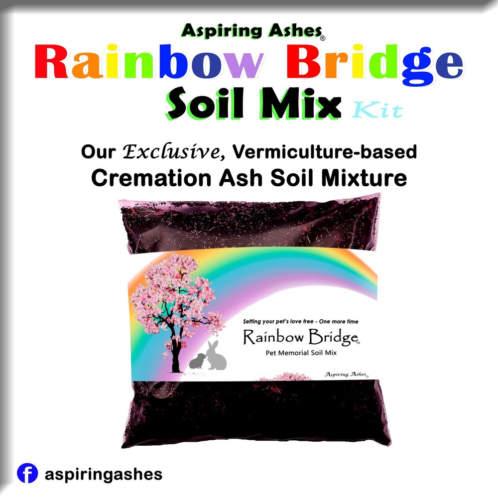 Rainbow Bridge Soil Mix Kit : Pet Memorial Kit - EXTRA LARGE