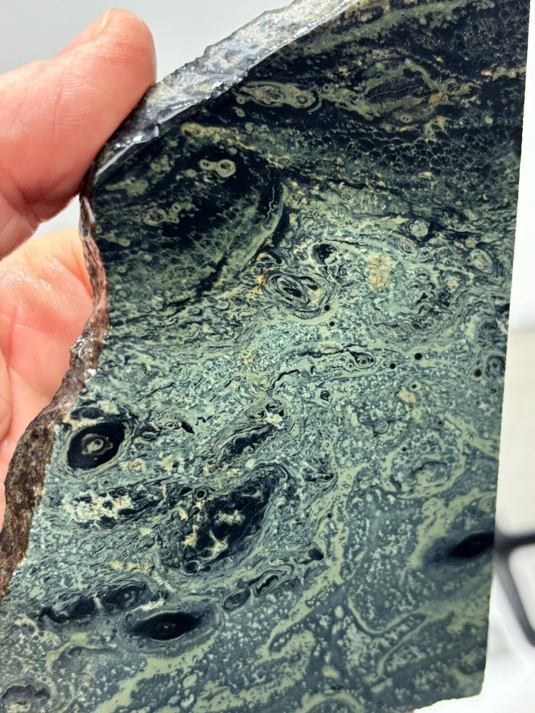 Kambaba Jasper Stromatolite Slab Lapidary Cabbing Combo Ship Avail