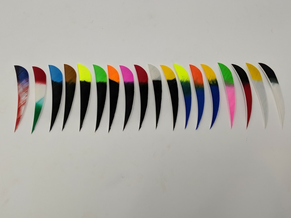 Archery Past 4" Parabolic Multi-Colored Feathers - 12 Pack, RW or LW