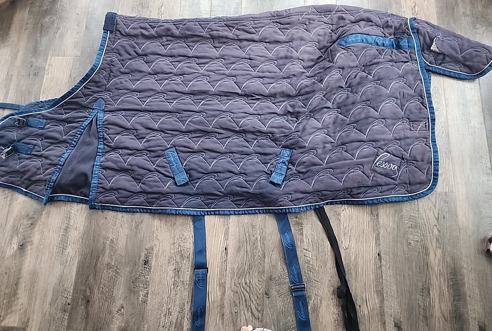 Horse Blanket
