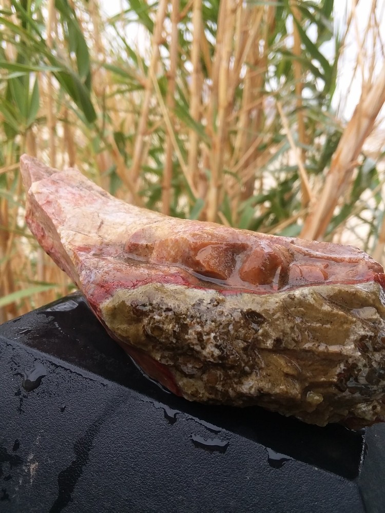 Lapidary