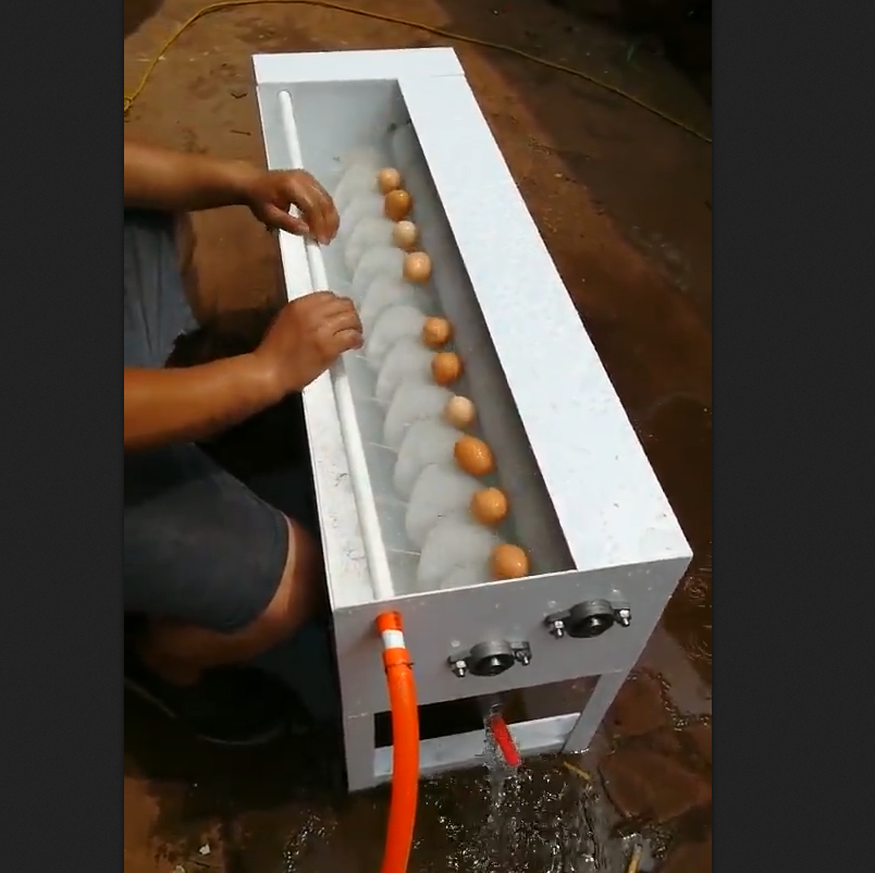 110V 750W Egg Surface Cleaning Semi-Automatic Egg Washer Egg Washing Machine