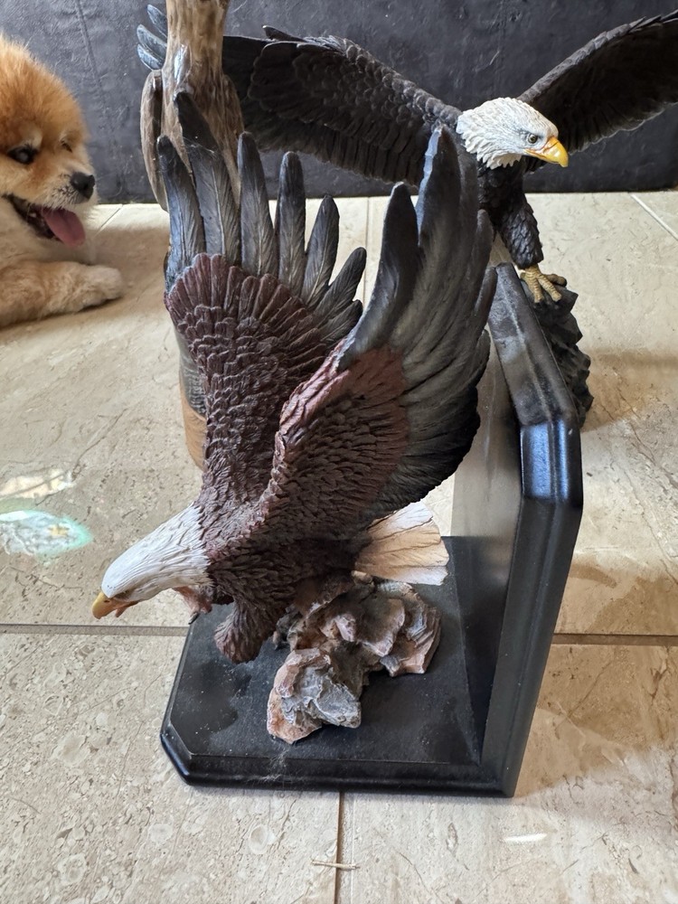 Sets Of 5 Eagles Beautiful Collection