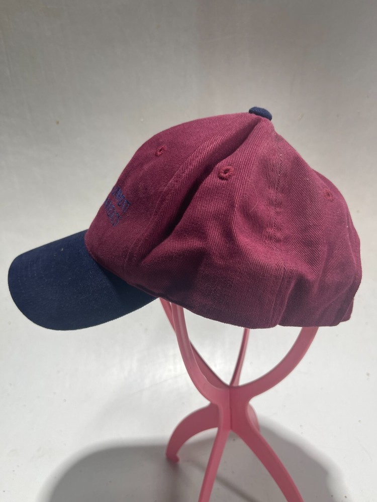 Dish Network Entertainment Environments Cap Hat