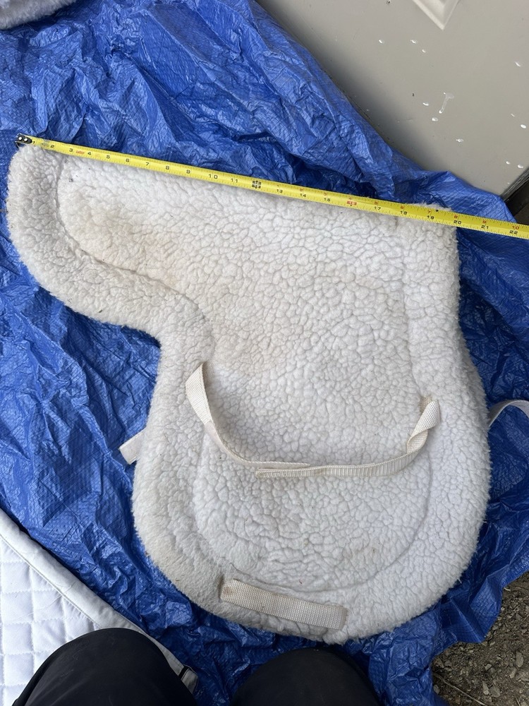 English Show Pad