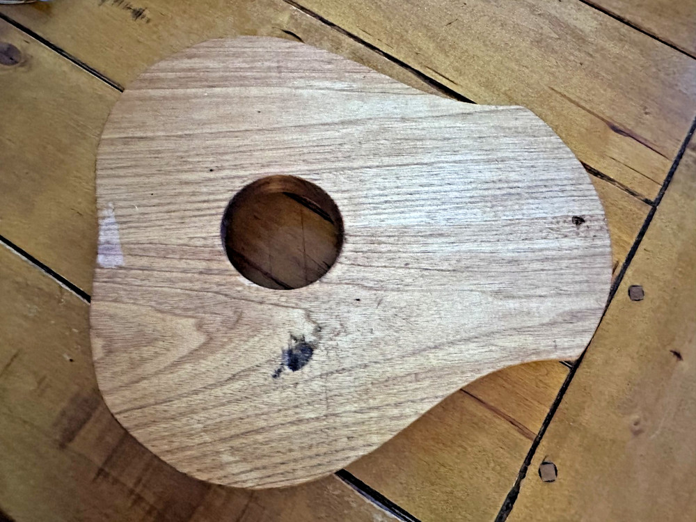 Rustic Floral Wooden String Instrument