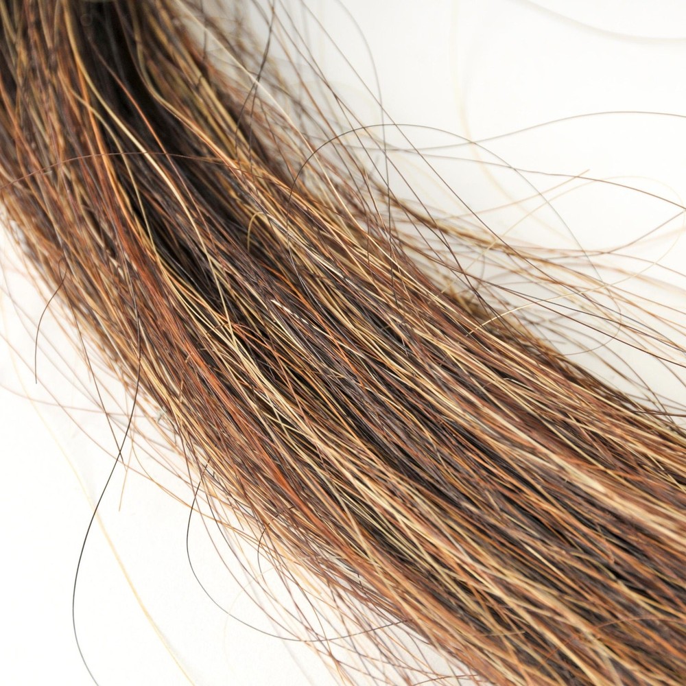 Horse Tail Fly Whisk with Leather Handle