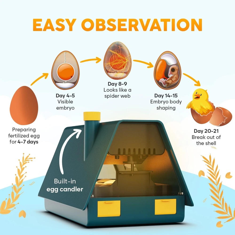 Incubators for Hatching Eggs - Ideal All Ages | Egg Incubator with Automatic