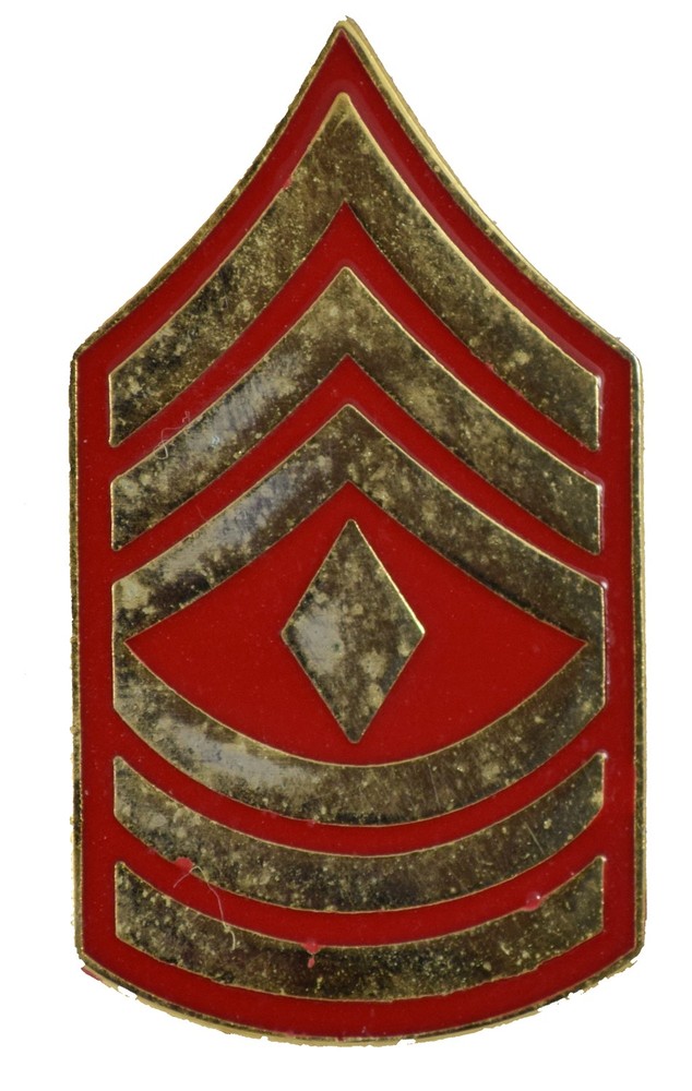 E-8 1ST SERGEANT HAT PIN