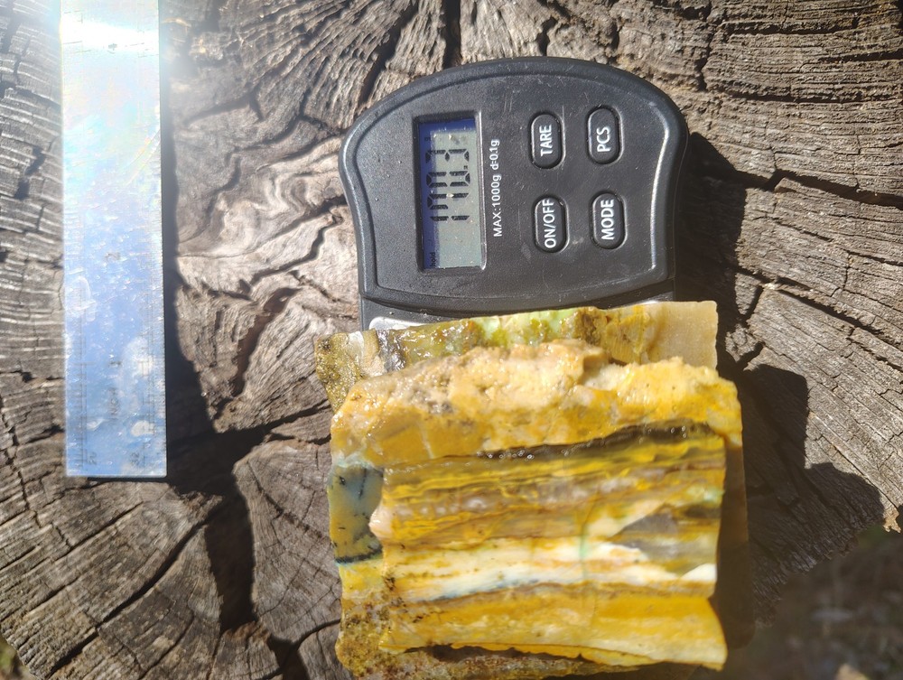 blue opalized petrified wood