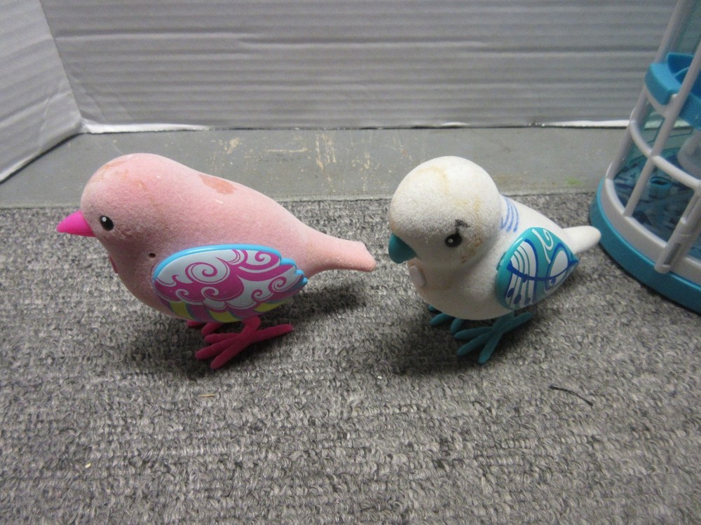 Little live pets Birds with cage